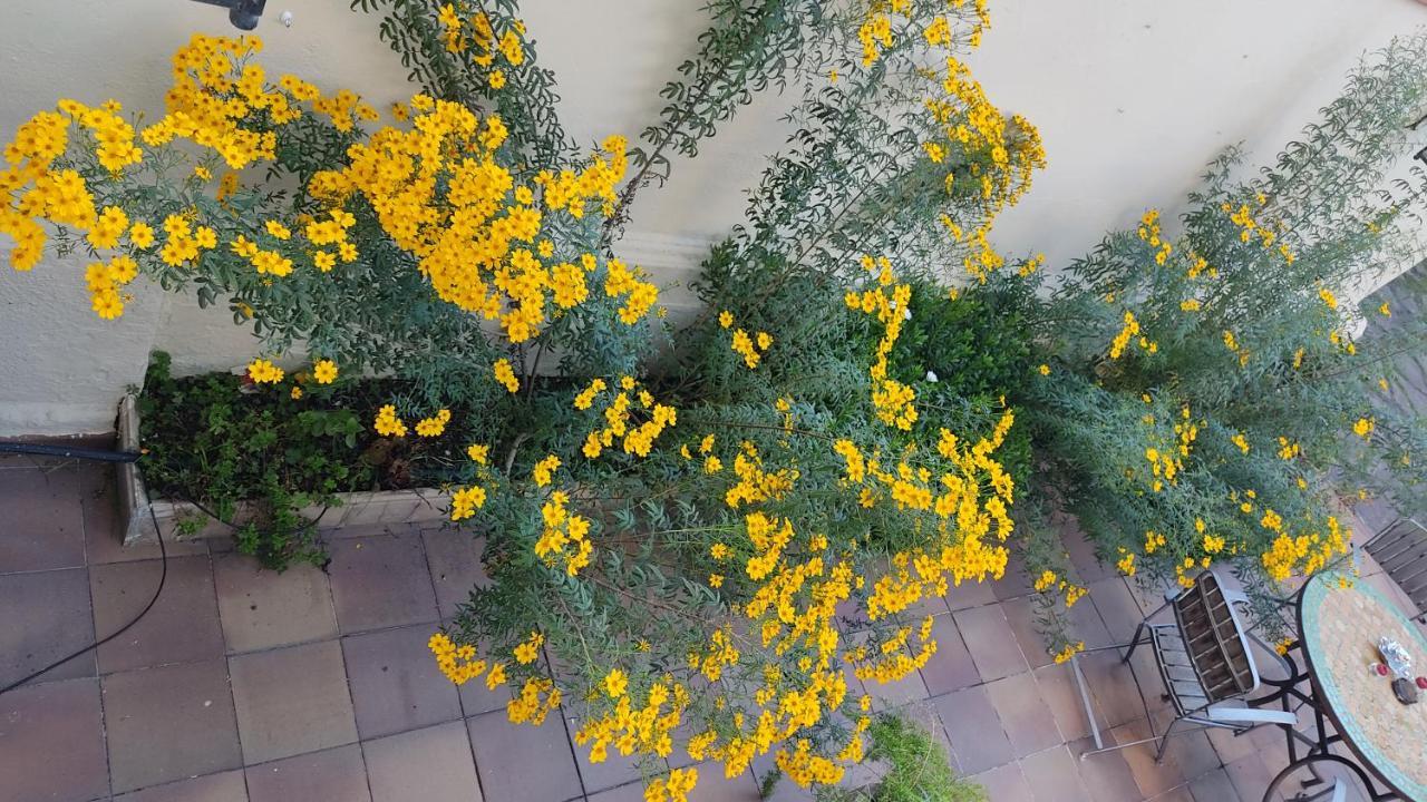 사바델 Casa Mo 아파트 외부 사진