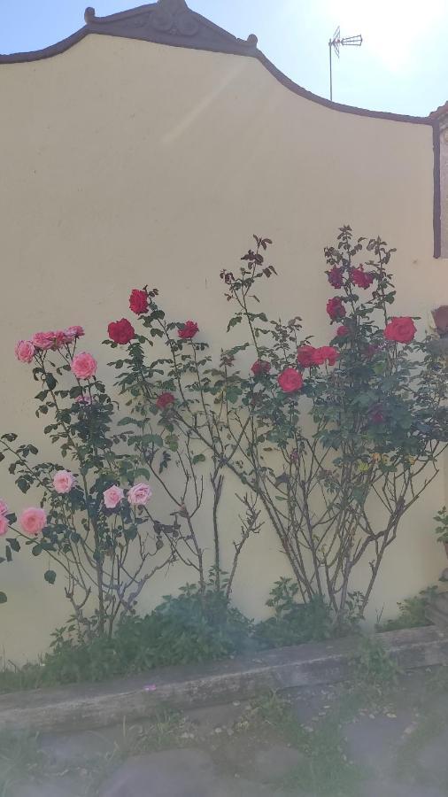 사바델 Casa Mo 아파트 외부 사진